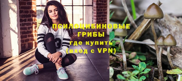 скорость Пестово