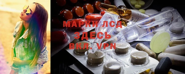 apvp Алексин