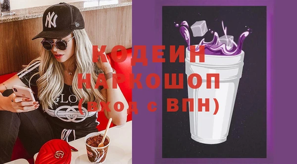 индика Пересвет