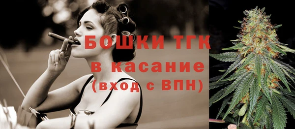apvp Алексин